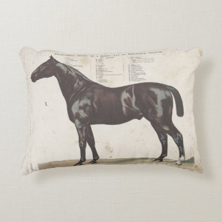 Almofada Decorativa Belo travesseiro de cavalo de vintage