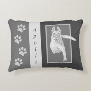 Almofada Decorativa Belo Travesseiro de Ênfase Malinois Belga