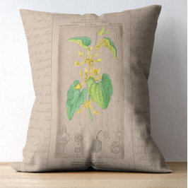 Almofada Decorativa Birthwort de Ilustração Botânica Francesa