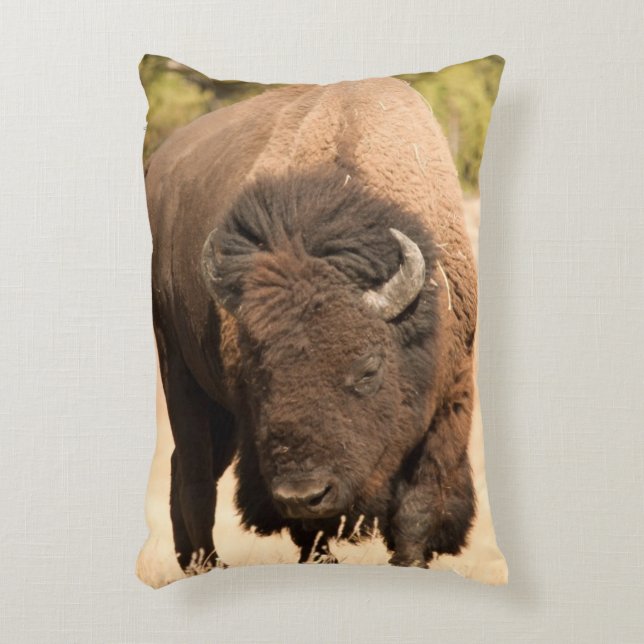 Almofada Decorativa Bisonte (Frente(Vertical))