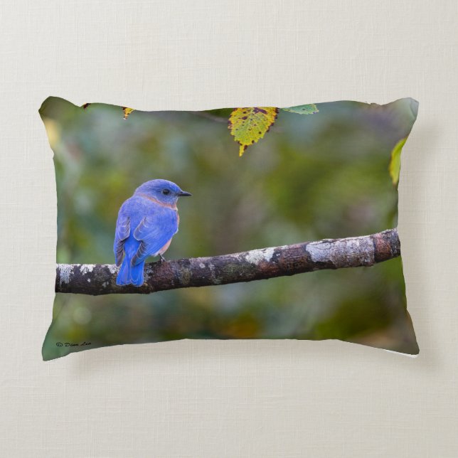 Almofada Decorativa BlueBird no Travesseiro decorativo (Frente)