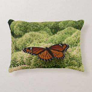 Almofada Decorativa Borboleta Viceroy Belo Caráter Fotografia