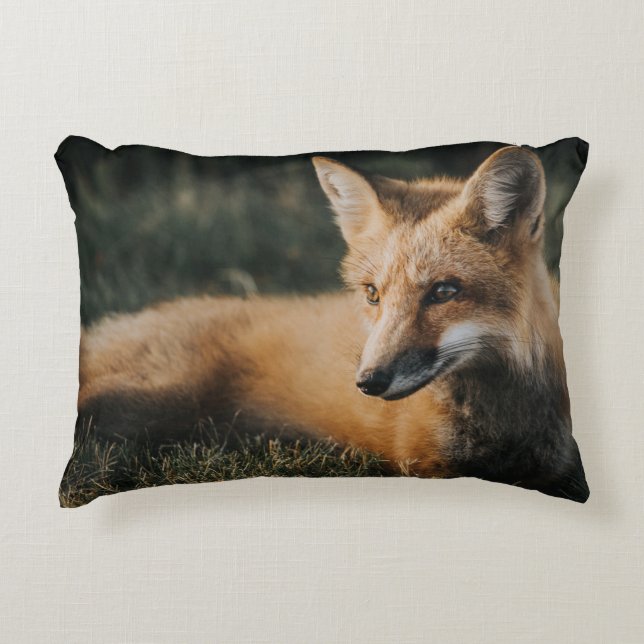 ALMOFADA DECORATIVA BROWN FOX ON GROUND (Frente)