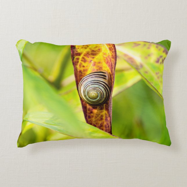 Almofada Decorativa calma (Frente)