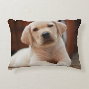Almofada Decorativa Cão de filhote de cachorro amarelo de Labrador do