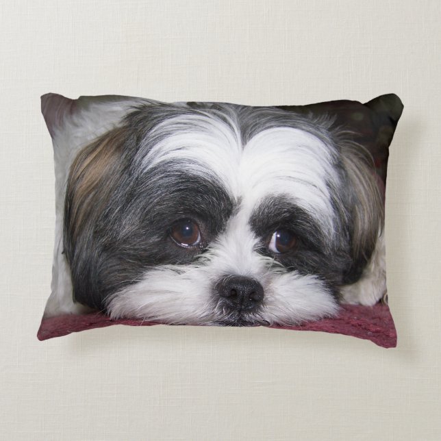 Almofada Decorativa Cão de Shih Tzu (Verso)