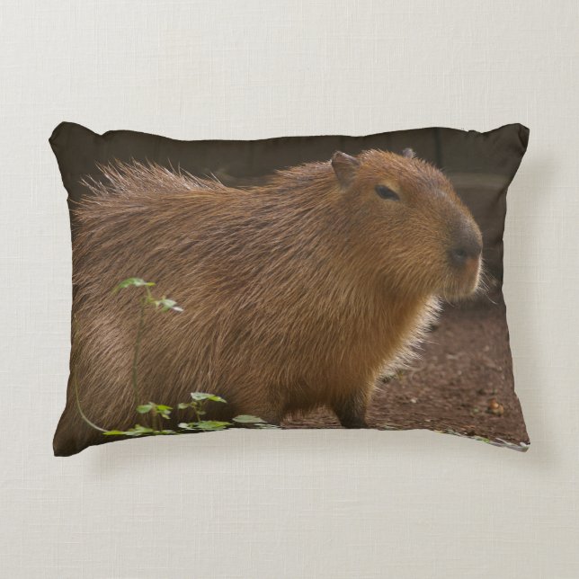 Almofada Decorativa Capybara (Frente)