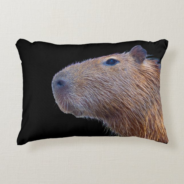Almofada Decorativa Capybara (Frente)