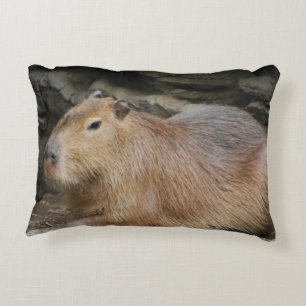 Almofada Decorativa capybara-7