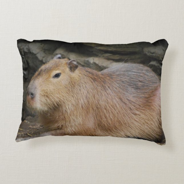 Almofada Decorativa capybara-7 (Verso)