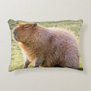 Almofada Decorativa Capybara Cushion