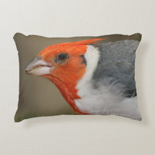 Almofada Decorativa Cardeal com crista vermelho