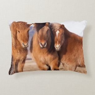 Almofada Decorativa Cavalo islandês durante o inverno