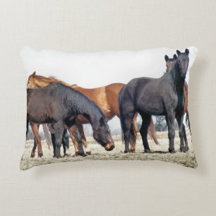 ALMOFADA DECORATIVA CAVALOS