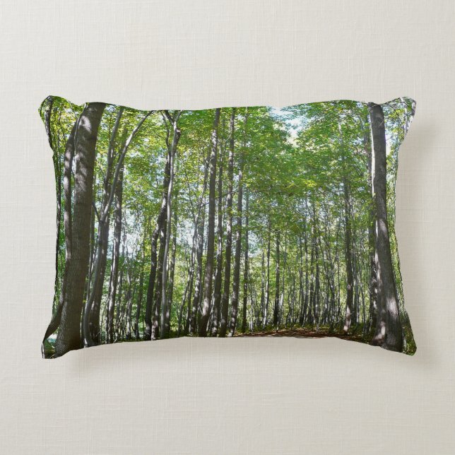 Almofada Decorativa Centennial Wooded Path II Ellicott City Maryland (Frente)