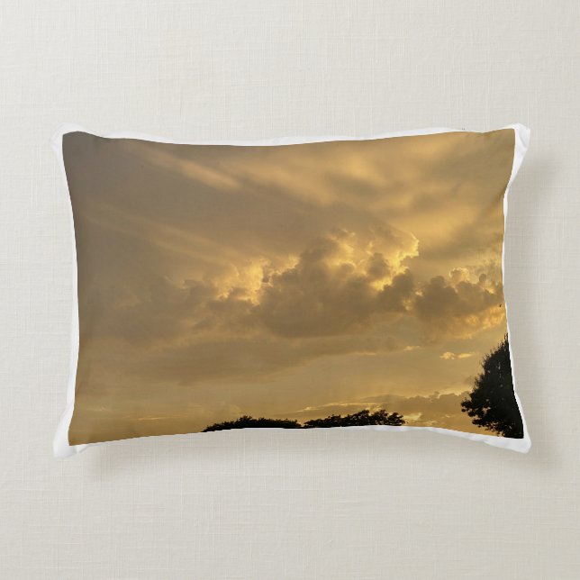 Almofada Decorativa Céu Nublado com Pássaro (Frente)