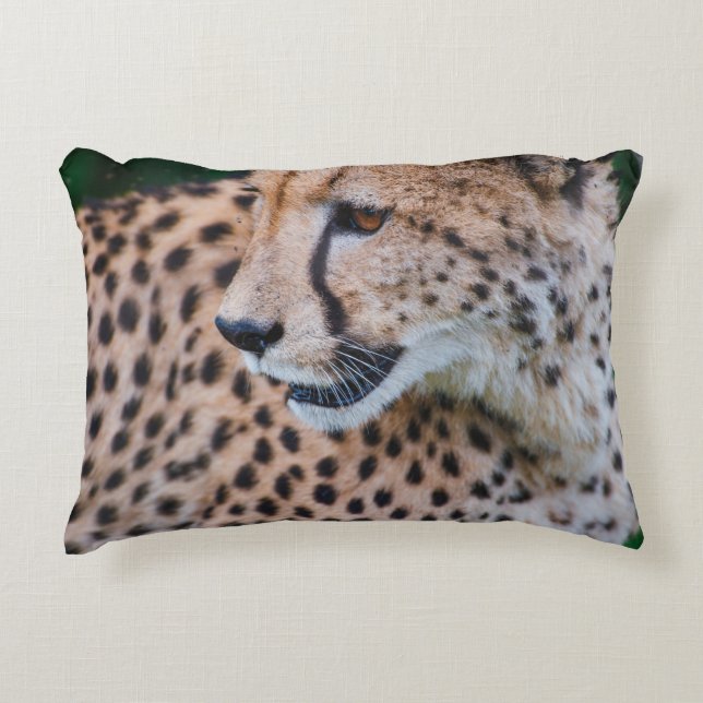 ALMOFADA DECORATIVA CHEETAH CURIOSO (Frente)