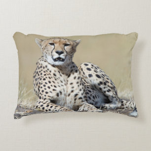 Almofada Decorativa Cheetah na foto de Masai Mara no Quênia