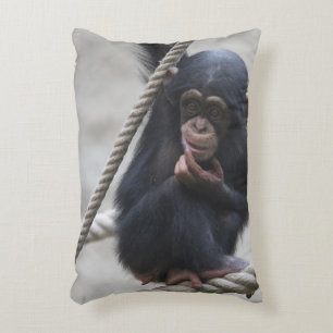 Almofada Decorativa Chimpanzé 030