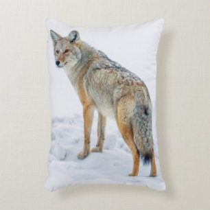 Almofada Decorativa Coio em alerta na neve