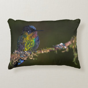 Almofada Decorativa Colibri