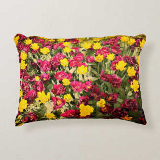 Almofada Decorativa Colorfull pillow