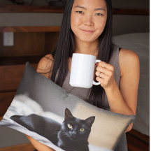 Companheiro de Gato de Bomba Negra