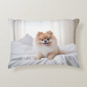 Almofada Decorativa Companhia Pomeraniana