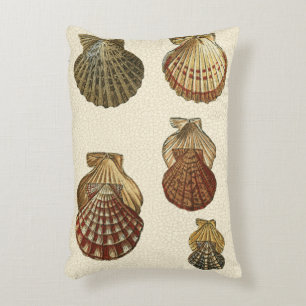 Almofada Decorativa Conchas Antiguas Empilhadas