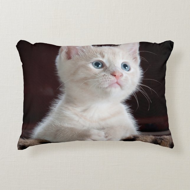 Almofada Decorativa Crie Seu Próprio Simples Personalizado  (Frente)