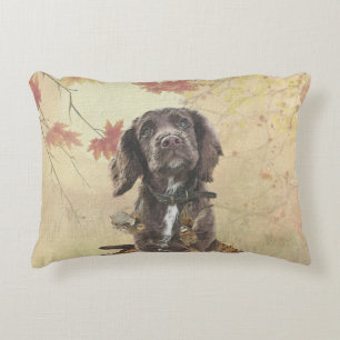 Almofada Decorativa Cupão de chocolate spaniel