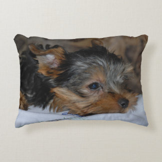 Almofada Decorativa decorative cushion with a little dog
