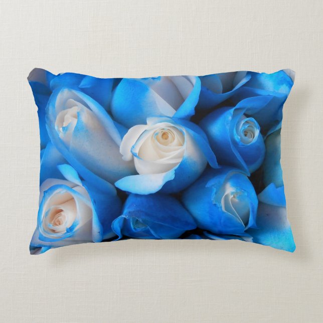 Almofada Decorativa Diemudis (Frente)