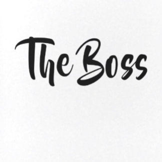 ALMOFADA DECORATIVA DIVIDIR O CHEFE