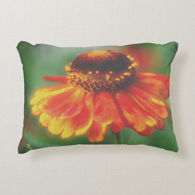 Almofada Decorativa Dreamy Zinnia Flower (Frente)