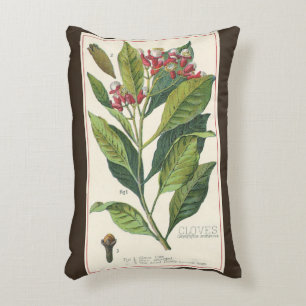 Almofada Decorativa Ervas e especiarias alimentares vintage, planta de