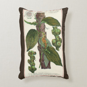 Almofada Decorativa Ervas e especiarias alimentares vintage, planta de