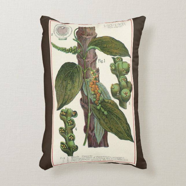 Almofada Decorativa Ervas e especiarias alimentares vintage, planta de (Frente(Vertical))