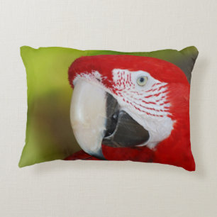 Almofada Decorativa Escarlate bonito do Macaw