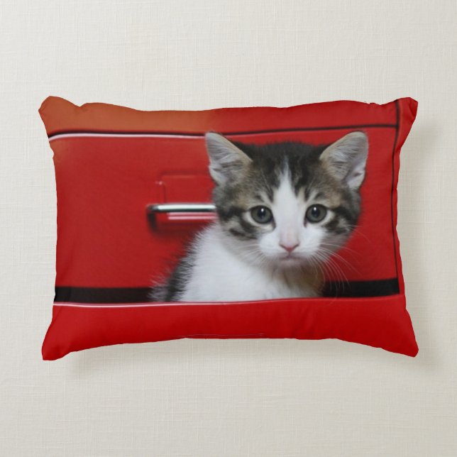 Almofada Decorativa Espreitar do gatinho (Frente)