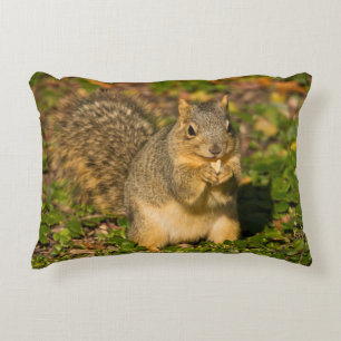 Almofada Decorativa Esquilo cinzento, comendo, amendoim, Crystal Sprin