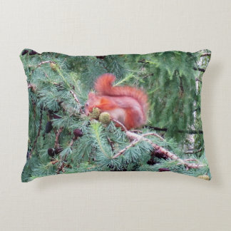 Almofada Decorativa Esquilo-vermelho