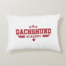 ESTRELAS DA ACADEMIA DE DACHSHUND RD/WH