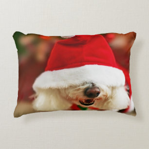 Almofada Decorativa Filhote de cachorro de Bichon Frise que veste o