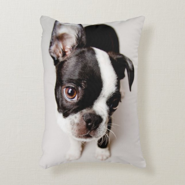 Almofada Decorativa Filhote de cachorro de Edison Boston Terrier (Frente(Vertical))