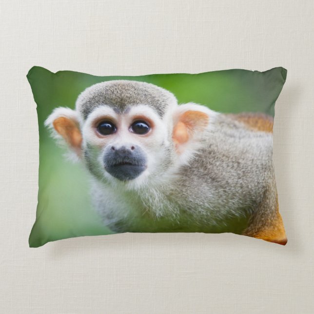 Almofada Decorativa Fim-acima de um macaco de esquilo comum (Frente)
