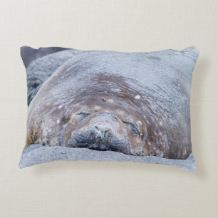 Almofada Decorativa Foca-elefante que dorme