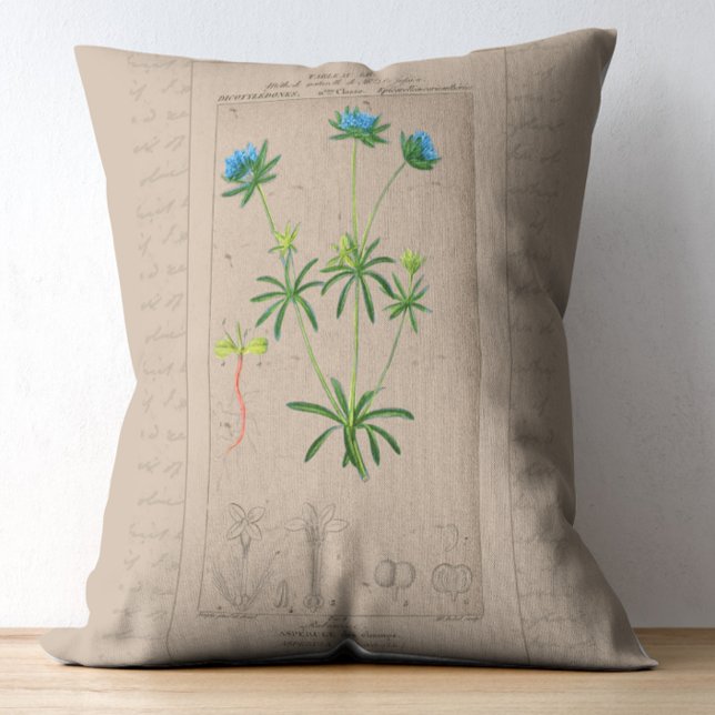 Almofada Decorativa Folha Botânica Francesa Pau Azul (Criador carregado)