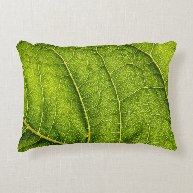 Almofada Decorativa Folha verde (Frente)