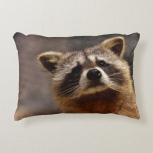 Almofada Decorativa Foto curiosa do Raccoon